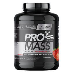 BS PRO Mass 2,6kg